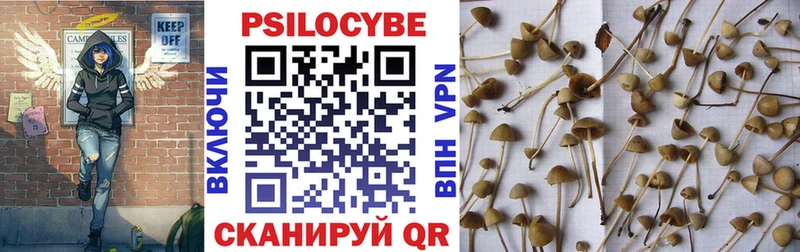 Псилоцибиновые грибы GOLDEN TEACHER  Таштагол 