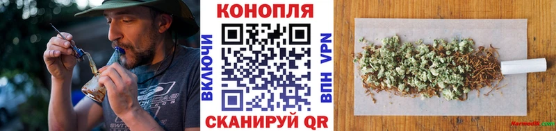 kraken tor  Таштагол  Шишки марихуана планчик 